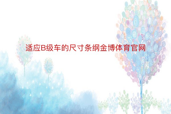 适应B级车的尺寸条纲金博体育官网