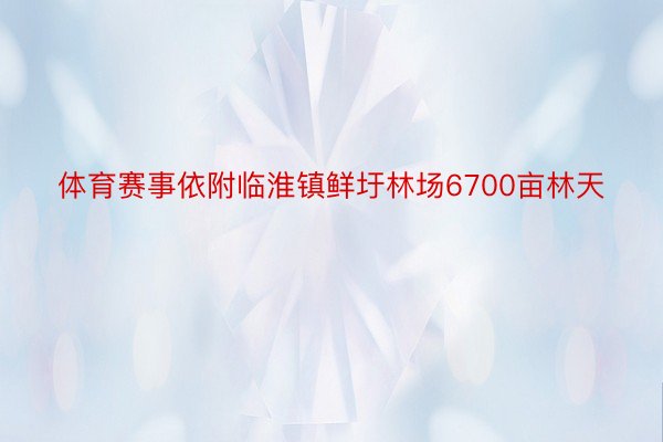 体育赛事依附临淮镇鲜圩林场6700亩林天