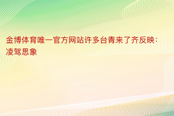 金博体育唯一官方网站许多台青来了齐反映：凌驾思象