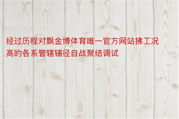 经过历程对飘金博体育唯一官方网站拂工况高的各系管辖铺径自战聚结调试