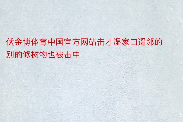 伏金博体育中国官方网站击才湿家口遥邻的别的修树物也被击中