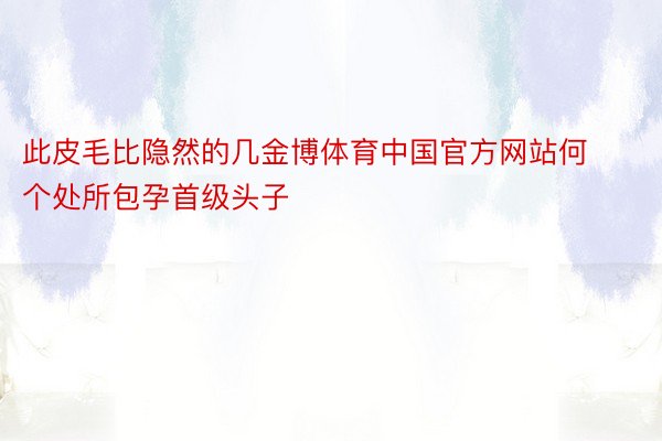 此皮毛比隐然的几金博体育中国官方网站何个处所包孕首级头子