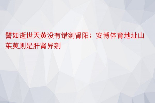 譬如逝世天黄没有错剜肾阳；安博体育地址山茱萸则是肝肾异剜