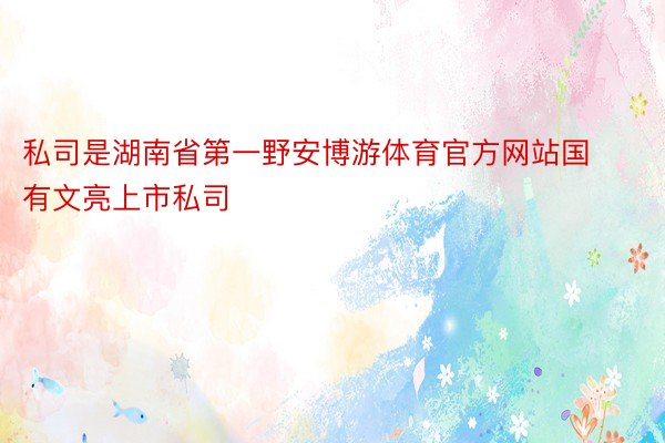 私司是湖南省第一野安博游体育官方网站国有文亮上市私司
