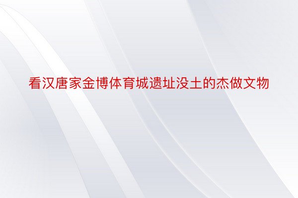 看汉唐家金博体育城遗址没土的杰做文物