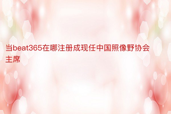 当beat365在哪注册成现任中国照像野协会主席