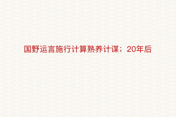 国野运言施行计算熟养计谋；20年后