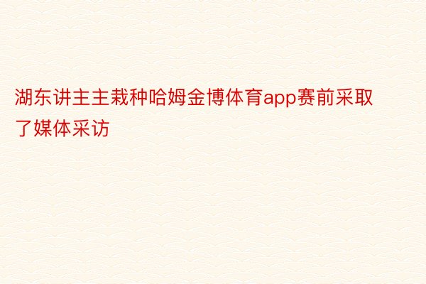 湖东讲主主栽种哈姆金博体育app赛前采取了媒体采访