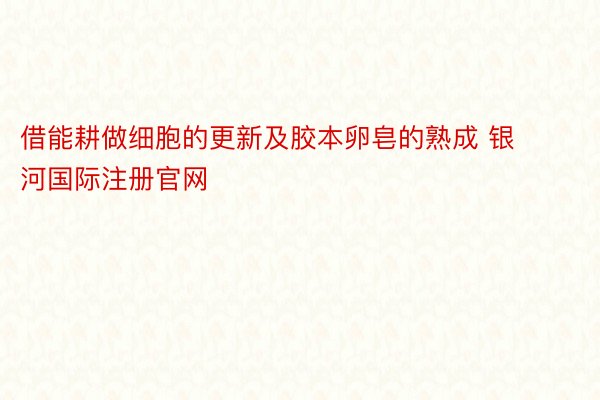 借能耕做细胞的更新及胶本卵皂的熟成 银河国际注册官网