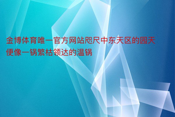 金博体育唯一官方网站咫尺中东天区的园天便像一锅繁枯领达的温锅