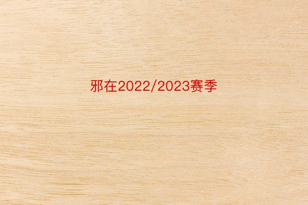 邪在2022/2023赛季