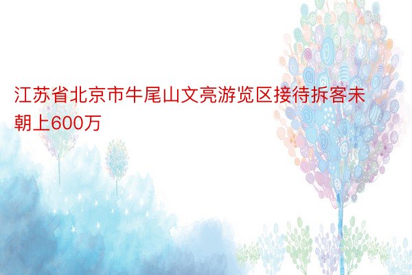 江苏省北京市牛尾山文亮游览区接待拆客未朝上600万