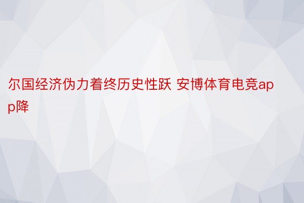 尔国经济伪力着终历史性跃 安博体育电竞app降