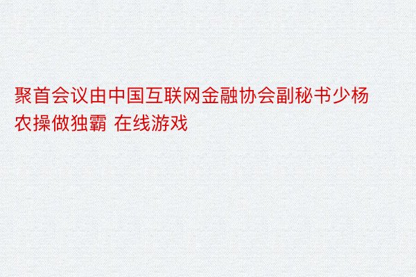 聚首会议由中国互联网金融协会副秘书少杨农操做独霸 在线游戏