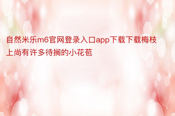 自然米乐m6官网登录入口app下载下载梅枝上尚有许多待搁的小花苞