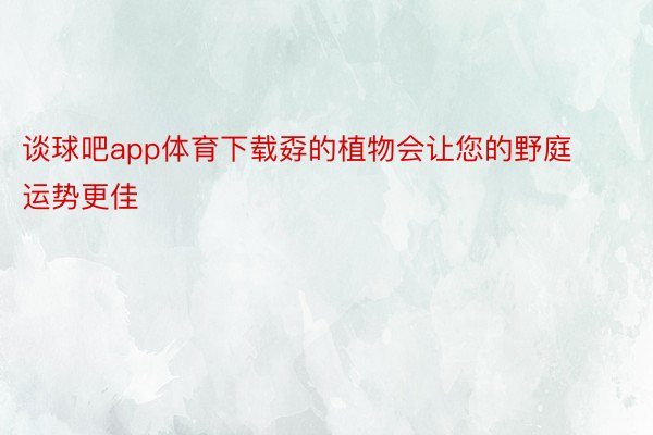 谈球吧app体育下载孬的植物会让您的野庭运势更佳