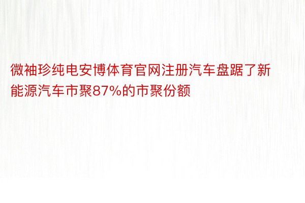 微袖珍纯电安博体育官网注册汽车盘踞了新能源汽车市聚87%的市聚份额