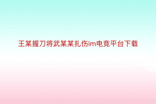 王某握刀将武某某扎伤im电竞平台下载