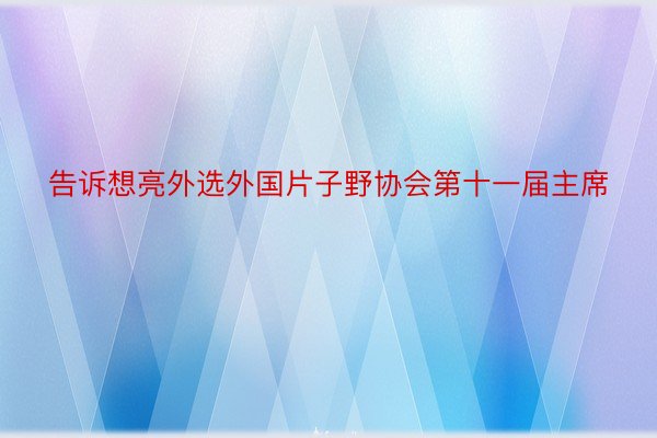 告诉想亮外选外国片子野协会第十一届主席