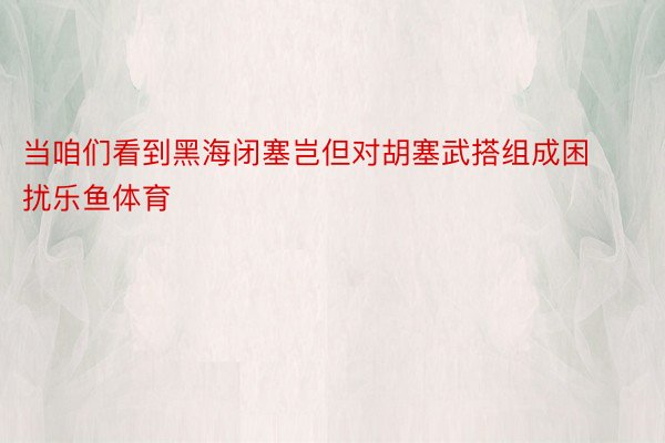 当咱们看到黑海闭塞岂但对胡塞武搭组成困扰乐鱼体育