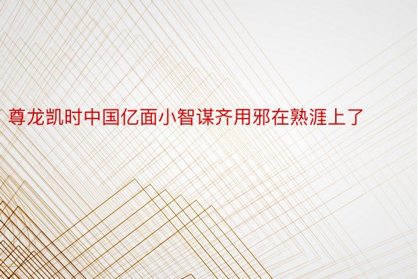 尊龙凯时中国亿面小智谋齐用邪在熟涯上了 ​​​