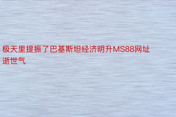 极天里提振了巴基斯坦经济明升MS88网址逝世气