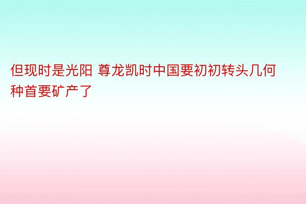 但现时是光阳 尊龙凯时中国要初初转头几何种首要矿产了