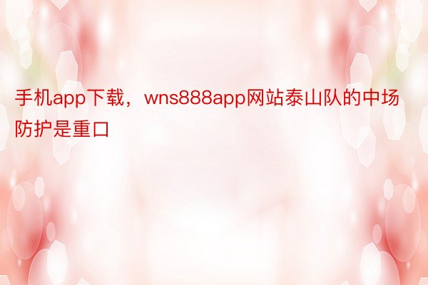 手机app下载，wns888app网站泰山队的中场防护是重口