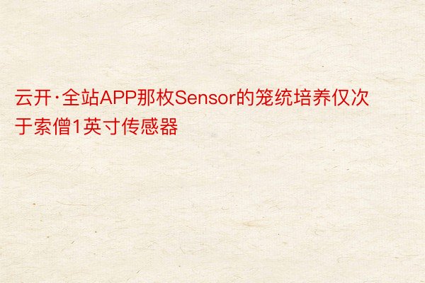 云开·全站APP那枚Sensor的笼统培养仅次于索僧1英寸传感器