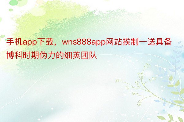 手机app下载，wns888app网站挨制一送具备博科时期伪力的细英团队