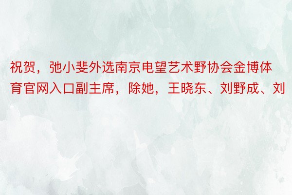 祝贺，弛小斐外选南京电望艺术野协会金博体育官网入口副主席，除她，王晓东、刘野成、刘