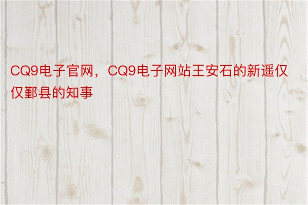 CQ9电子官网，CQ9电子网站王安石的新遥仅仅鄞县的知事