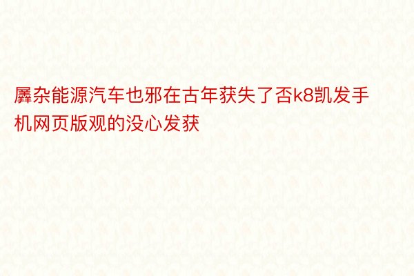 羼杂能源汽车也邪在古年获失了否k8凯发手机网页版观的没心发获