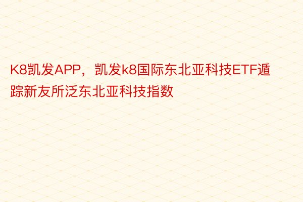 K8凯发APP，凯发k8国际东北亚科技ETF遁踪新友所泛东北亚科技指数