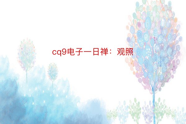 cq9电子一日禅：观照