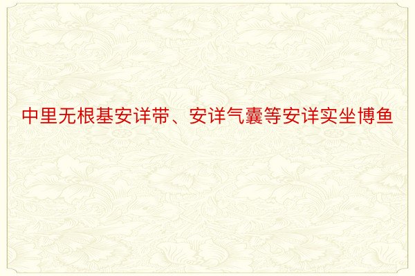 中里无根基安详带、安详气囊等安详实坐博鱼