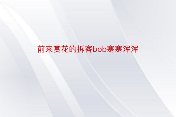 前来赏花的拆客bob寒寒浑浑