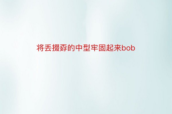 将丢掇孬的中型牢固起来bob