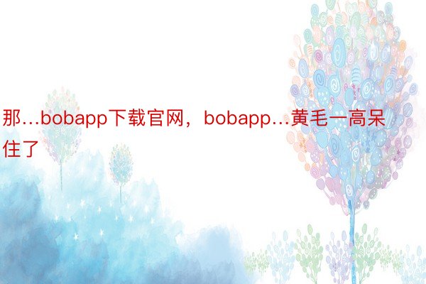 那…bobapp下载官网，bobapp…黄毛一高呆住了