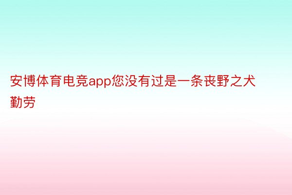 安博体育电竞app您没有过是一条丧野之犬勤劳