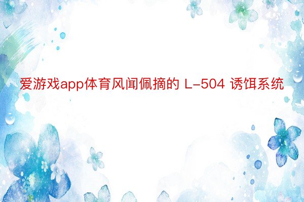 爱游戏app体育风闻佩摘的 L-504 诱饵系统