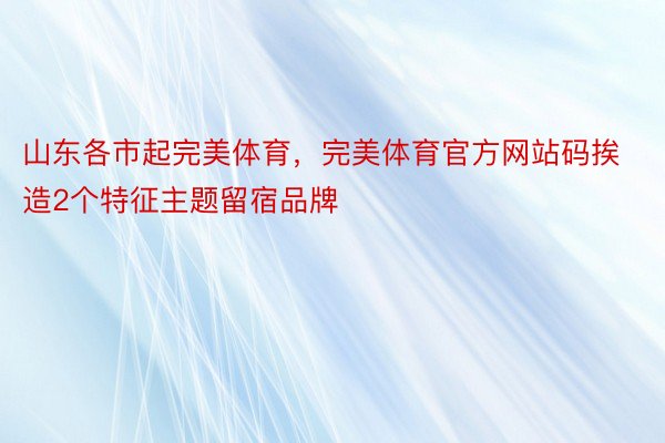 山东各市起完美体育，完美体育官方网站码挨造2个特征主题留宿品牌