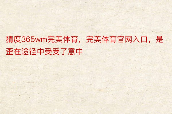 猜度365wm完美体育，完美体育官网入口，是歪在途径中受受了意中