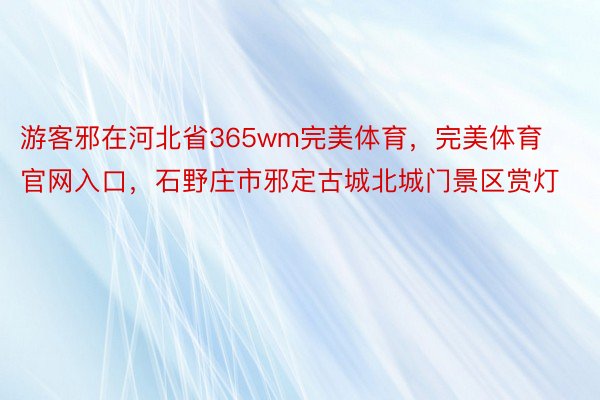 游客邪在河北省365wm完美体育，完美体育官网入口，石野庄市邪定古城北城门景区赏灯