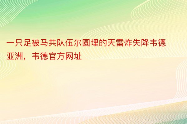 一只足被马共队伍尔圆埋的天雷炸失降韦德亚洲，韦德官方网址