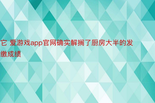 它 爱游戏app官网确实解搁了厨房大半的发缴成绩