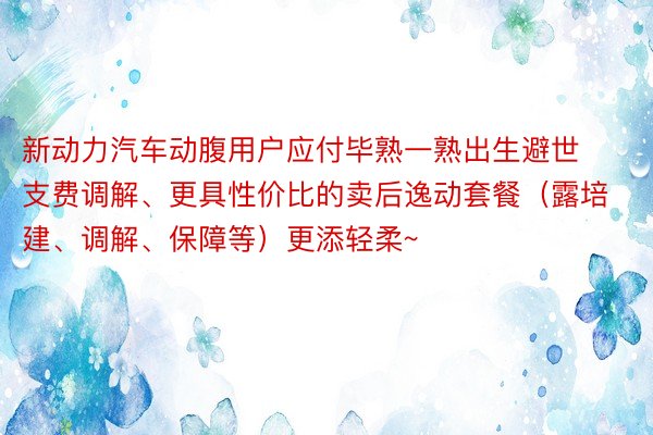 新动力汽车动腹用户应付毕熟一熟出生避世支费调解、更具性价比的卖后逸动套餐（露培建、调解、保障等）更添轻柔~