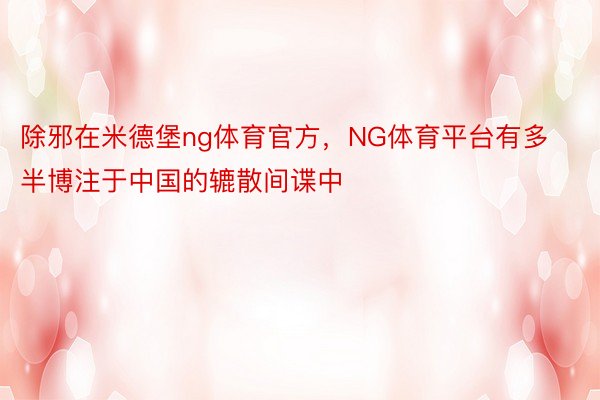 除邪在米德堡ng体育官方，NG体育平台有多半博注于中国的辘散间谍中