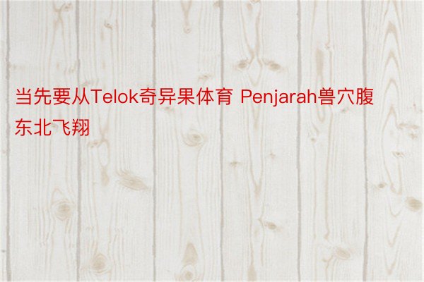 当先要从Telok奇异果体育 Penjarah兽穴腹东北飞翔