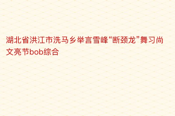 湖北省洪江市洗马乡举言雪峰“断颈龙”舞习尚文亮节bob综合